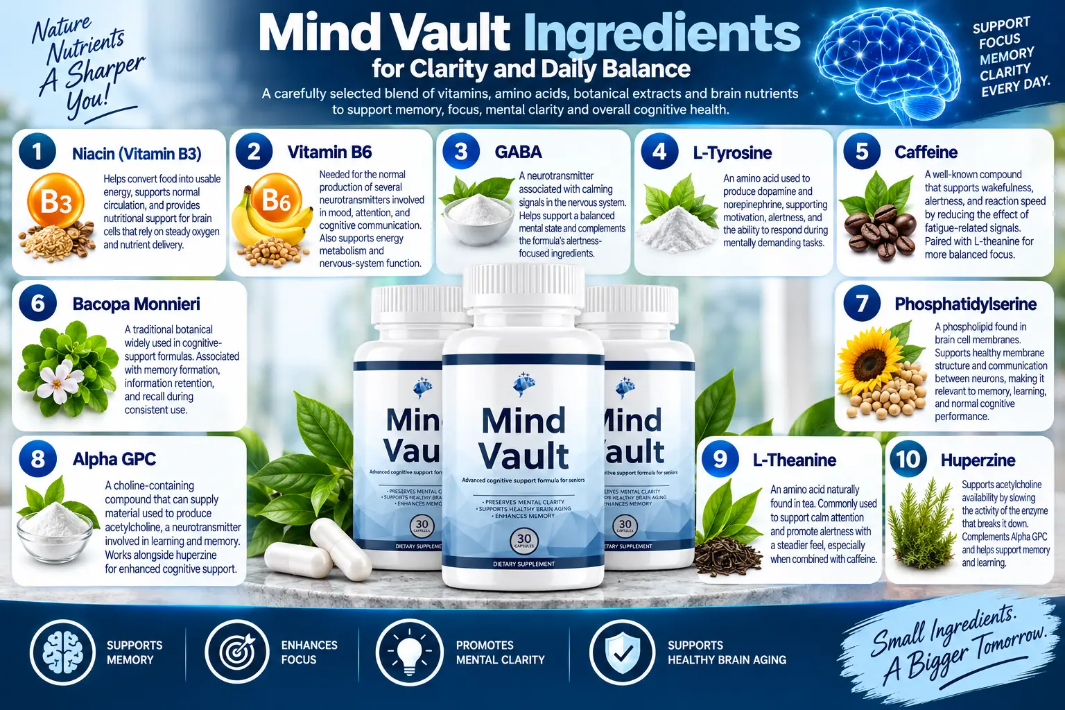 Mind Vault 10 ingredient formula: Niacin, Vitamin B6, GABA, L-Tyrosine, Caffeine, Bacopa Monnieri, Phosphatidylserine, Alpha GPC, L-Theanine, Huperzine